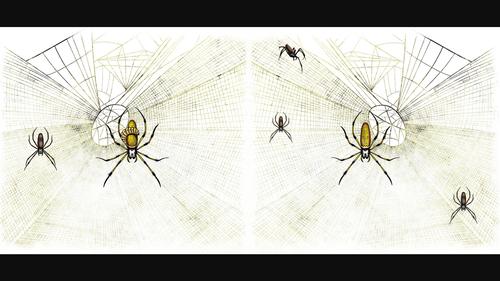 The perks of being in good conditions: How does female parasitism affect male mate choice in an orb-web spider?