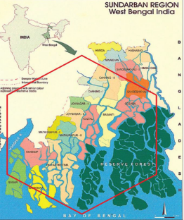 The practice of folk medicine by the indigenous people of Sundarbans: A historical analysis