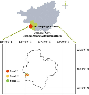 Soil C–N–P Stoichiometric Characteristics at the Aggregate Scales in Eucalyptus Plantations with Different Stand Types in Subtropical China