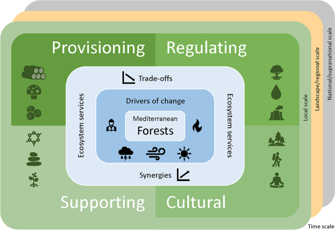 Managing Mediterranean Forests for Multiple Ecosystem Services: Research Progress and Knowledge Gaps