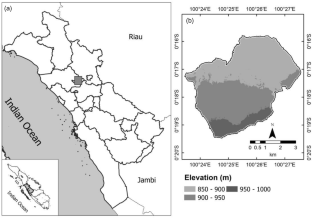 Impacts of the dry season on rice production using Landsat 8 in West Sumatra