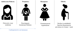 Hypertension Across a Woman's Life Cycle.