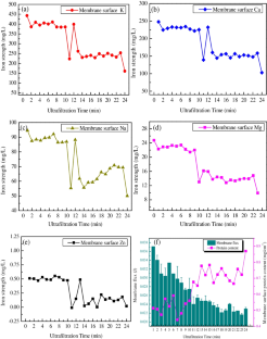 The Mechanism of Whey Protein on Membrane Surface Fouling During Ultrafiltration Process