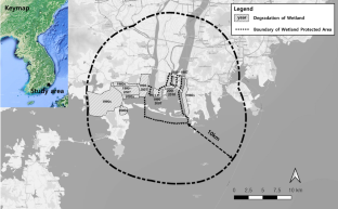 Decrease in population of swans (Cygnus spp.) due to the development of areas adjacent to the wintering site