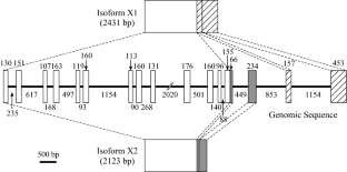 Discovery of Teleost Plasma Kallikrein/Coagulation Factor XI-Like Gene from Channel Catfish (Ictalurus punctatus) and the Evidence that the Protein Encoded by it Acts as a Lectin.