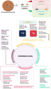 Bioinoculants: the agrarian avengers