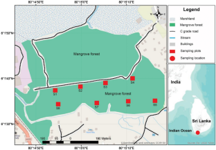 Sesarmid crabs as key contributors to the soil organic carbon sedimentation in tropical mangroves