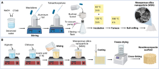 Chitosan/alginate bionanocomposites adorned with mesoporous silica nanoparticles for bone tissue engineering