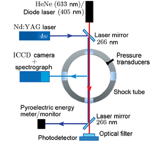 Experimental Investigation of the Formation of Polyaromatic Hydrocarbons and Soot during the Pyrolysis of Ethylene with the Addition of Dimethyl and Diethyl Ethers and Dimethoxymethane