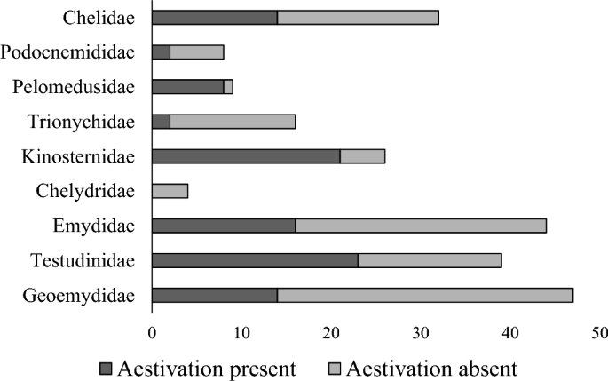 How Aestivation Evolved in Turtles: A Macroevolutionary and Morphological Approach