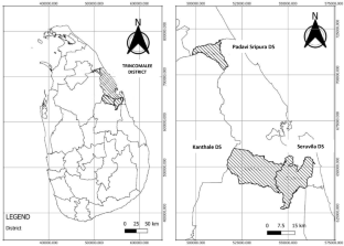 Occurrence of heavy metals in surface water bodies in rice cultivation areas in Trincomalee district, Sri Lanka