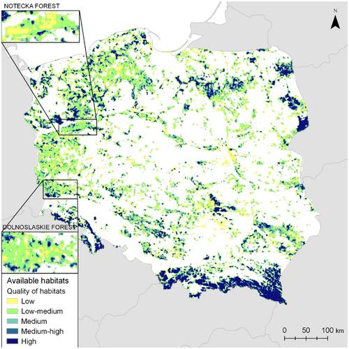 Effect of microhabitat characteristics for predicting habitat suitability for a stalking large carnivore—the Eurasian lynx in middle Europe