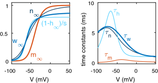 Bistability at the onset of neuronal oscillations.