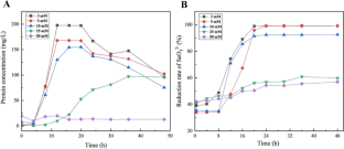 Unraveling the molecular mechanisms of selenite reduction: transcriptomic analysis of Bacillus reveals the key role of sulfur assimilation.