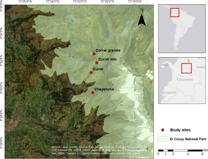 Carbon balance shift in mountain peatlands along a gradient of grazing disturbance in the tropical Andes (Colombia)