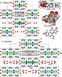 Aflatoxin Adsorption by Natural and Heated Sepiolite and Palygorskite in Comparison with Adsorption by Smectite