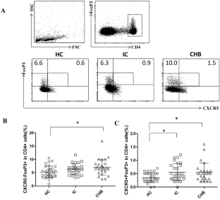 Changes in circulating TCF1- and GARP-associated regulatory T cell subsets reflect the clinical status of patients with chronic HBV infection.