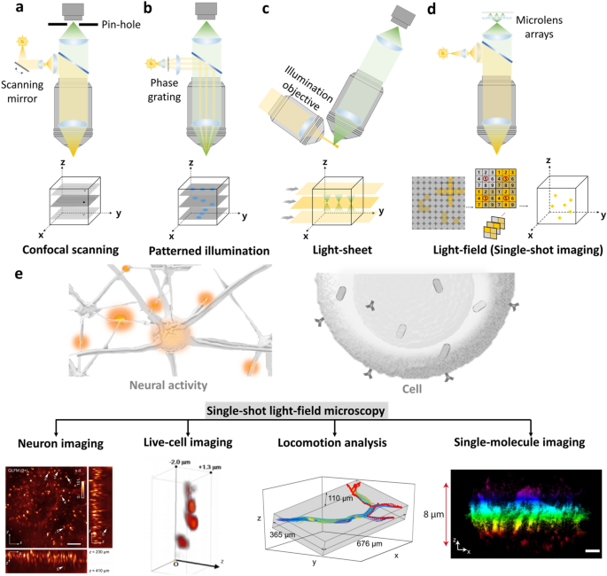 Single-Shot Light-Field Microscopy: An Emerging Tool for 3D Biomedical Imaging