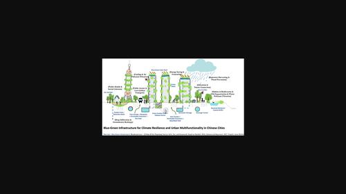 Blue‐green infrastructure for climate resilience and urban multifunctionality in Chinese cities