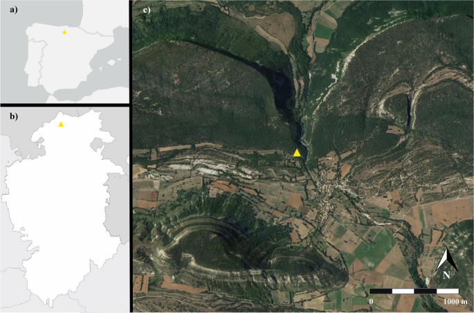 Too good to go? Neanderthal subsistence strategies at Prado Vargas Cave (Burgos, Spain)