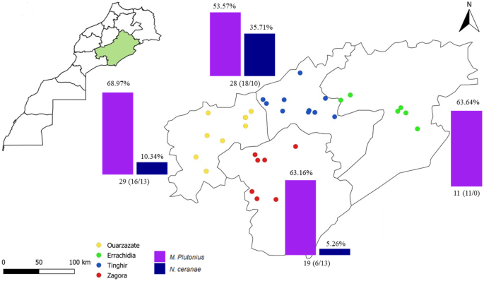 Molecular examination of nosemosis and foulbrood pathogens in honey bee populations from southeastern Morocco