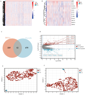 Involvement of CD44 and MAPK14-mediated ferroptosis in hemorrhagic shock