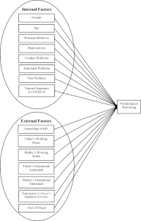 Adolescents’ Psychological Well-Being Amidst the COVID-19 Pandemic: The Role of Internal and External Factors