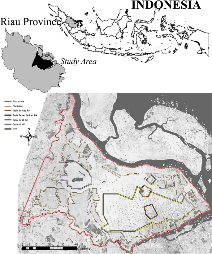 Habitat suitability of a peatland landscape for tiger translocation on Kampar Peninsula, Sumatra, Indonesia