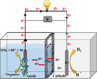 Electrochemical process for petroleum refinery wastewater treatment to produce power and hydrogen using microbial electrolysis cell