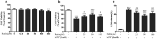 Rutin Attenuates Oxidative Stress Via PHB2-Mediated Mitophagy in MPP<sup>+</sup>-Induced SH-SY5Y Cells.