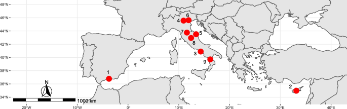 Guess who? Taxonomic problems in the genus Eiseniella revisited by integrated approach