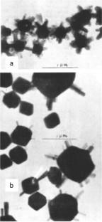 Crystallization between (100) Goethite and (001) Orientation of Hematite – A Review