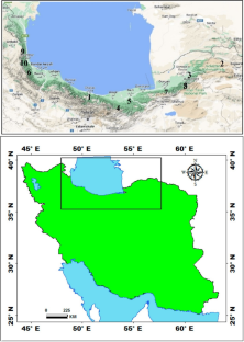 Biosystematics Study of Zelkova Carpinifolia (Pall.) C. Koch (Ulmaceae), A Paleoendemic Tree