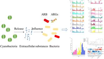 Cyanobacterial extracellular antibacterial substances could promote the spread of antibiotic resistance: impacts and reasons†