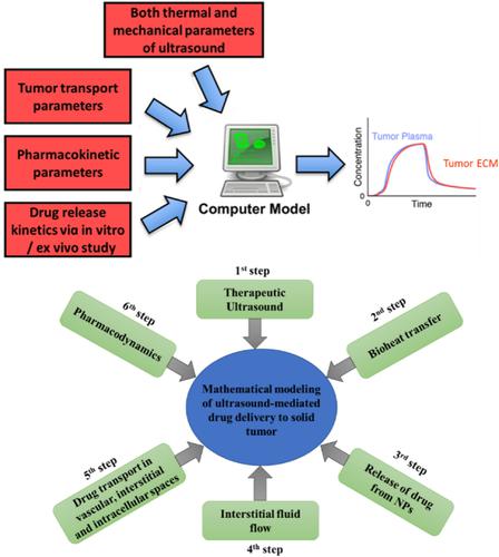 Ultrasound-mediated nano-sized drug delivery systems for cancer treatment: Multi-scale and multi-physics computational modeling.