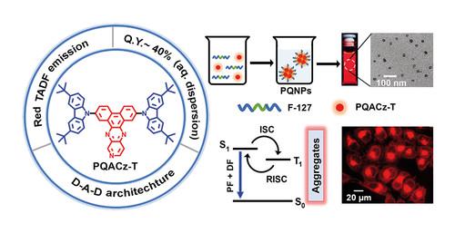 Red Thermally Activated Delayed Fluorescence in Dibenzopyridoquinoxaline-Based Nanoaggregates