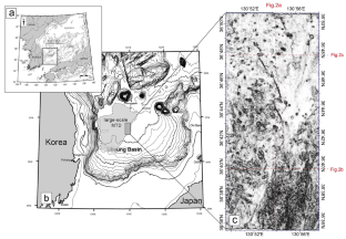 3D seismic interpretation of the relationship between a large-scale mass transport deposit and seismic chimneys in the Ulleung Basin, East Sea