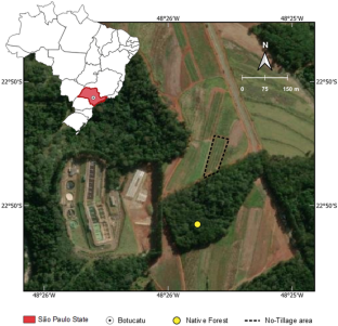 Soil Chemical Properties, Enzyme Activity and Soybean and Corn Yields in a Tropical Soil Under No-till Amended with Lime and Phosphogypsum