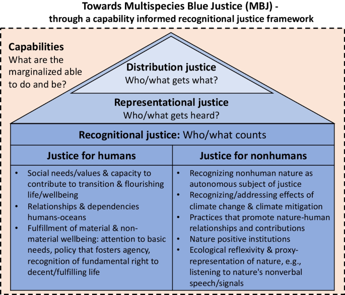 Multispecies blue justice and energy transition conflict: examining challenges and possibilities for synergy between low-carbon energy and justice for humans and nonhuman nature