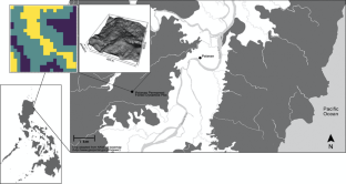 Twelve-year changes in palm populations from a tropical lowland forest in the Philippines