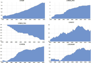 Nexus Between Indian Economic Growth and Remittance Inflows: A Non-linear ARDL Approach