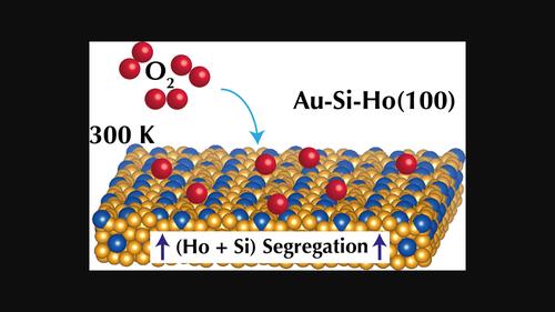 Surface Reactivity of the Au‐Si‐Ho Quasicrystalline 1/1 Approximant