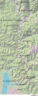 A Checklist with Three New Species and Two New Country Records of Begonia from Dibang Valley, Arunachal Pradesh, India