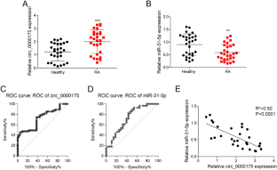 Circular RNA hsa_circ_0000175 Serves as a Potential Biomarker for Rheumatoid Arthritis via miR-31-5p/GSDME Axis