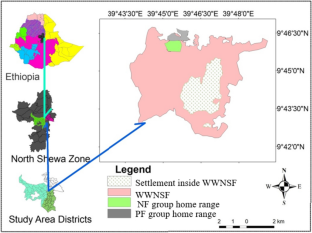 Feeding Ecology of Omo River Guerezas (Colobus guereza guereza) in Natural Versus Plantation Forests in the Central Highlands of Ethiopia