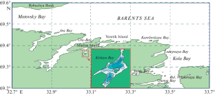 The Biological Features of the Atlantic Cod Gadus morhua L., 1758 (Gadiformes: Gadidae) of the Murmansk Coast: Race Composition and Fishing