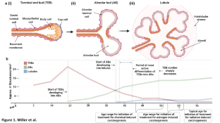 Induced mammary cancer in rat models: pathogenesis, genetics, and relevance to female breast cancer.