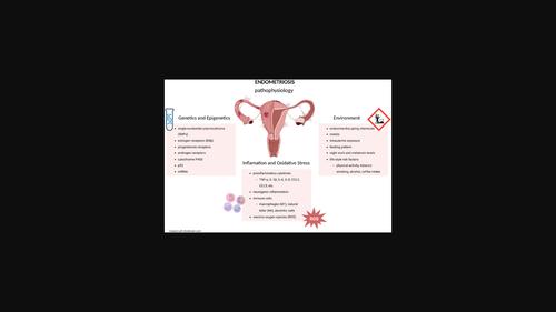 Recent insights explaining susceptibility to endometriosis-From genetics to environment.