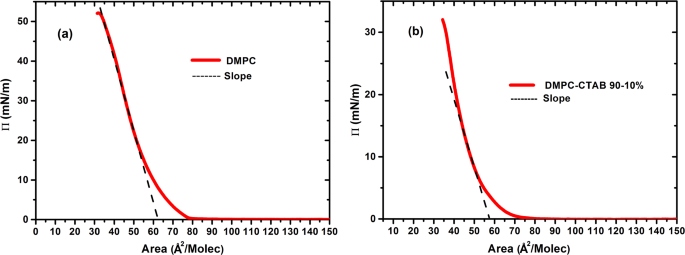 Spontaneous bilayer wrapping of virus particles by a phospholipid Langmuir monolayer