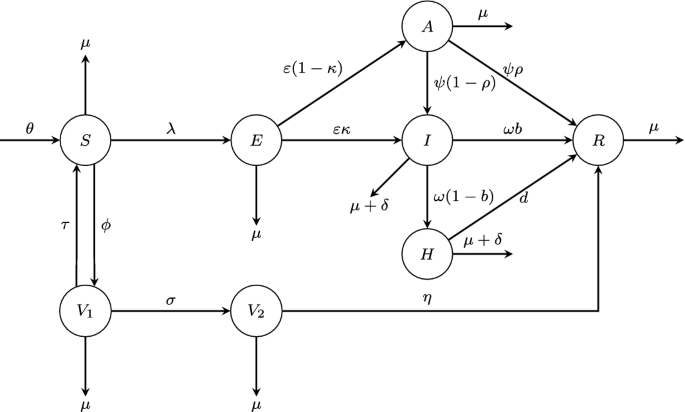 Mathematical Model of COVID-19 Pandemic with Double Dose Vaccination